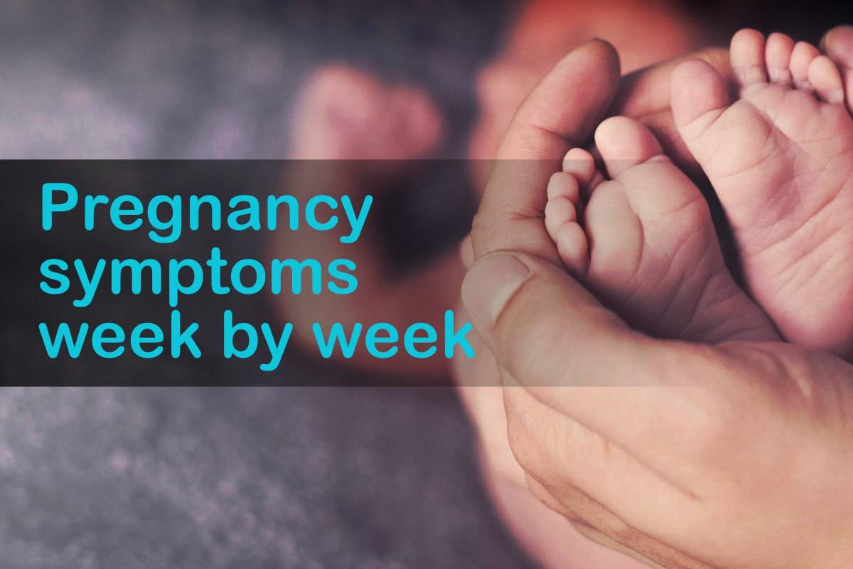 Pregnancy symptoms week by week