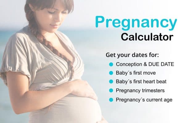 Pregnancy Calculator, Your Conception Date - Your Due Date