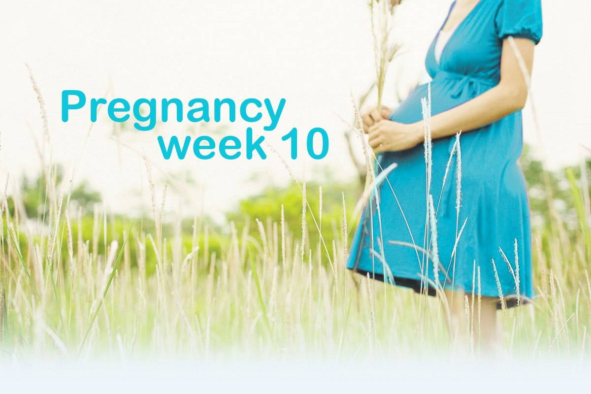 Pregnancy week 10
