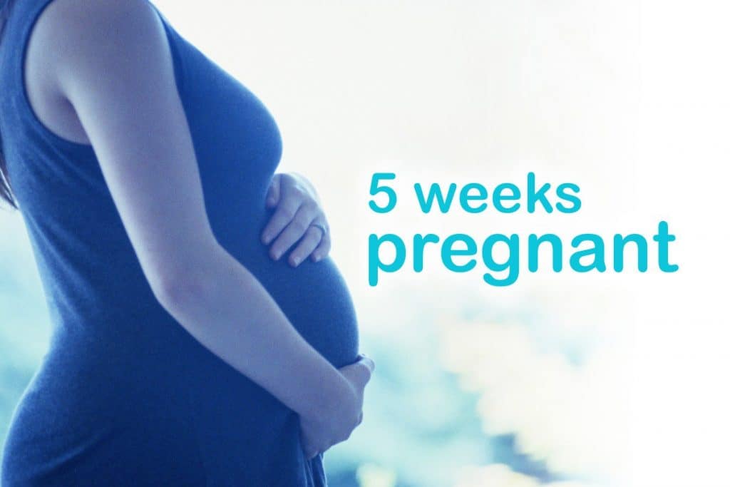 5-weeks-pregnant-your-baby-you-at-5-weeks-what-to-expect