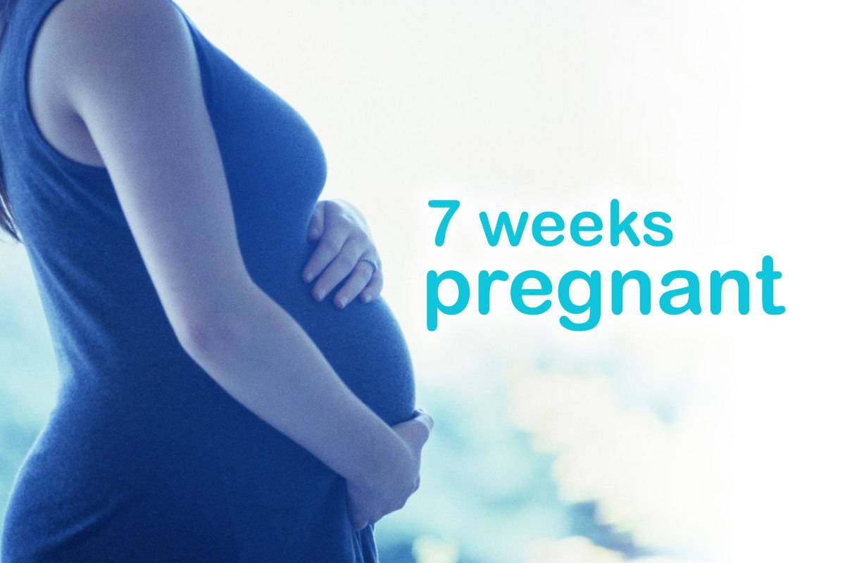 7-weeks-pregnant-your-baby-you-at-7-weeks-what-to-expect