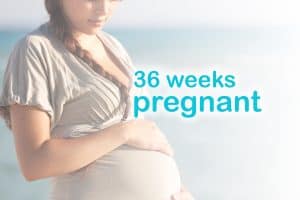 36 weeks pregnant