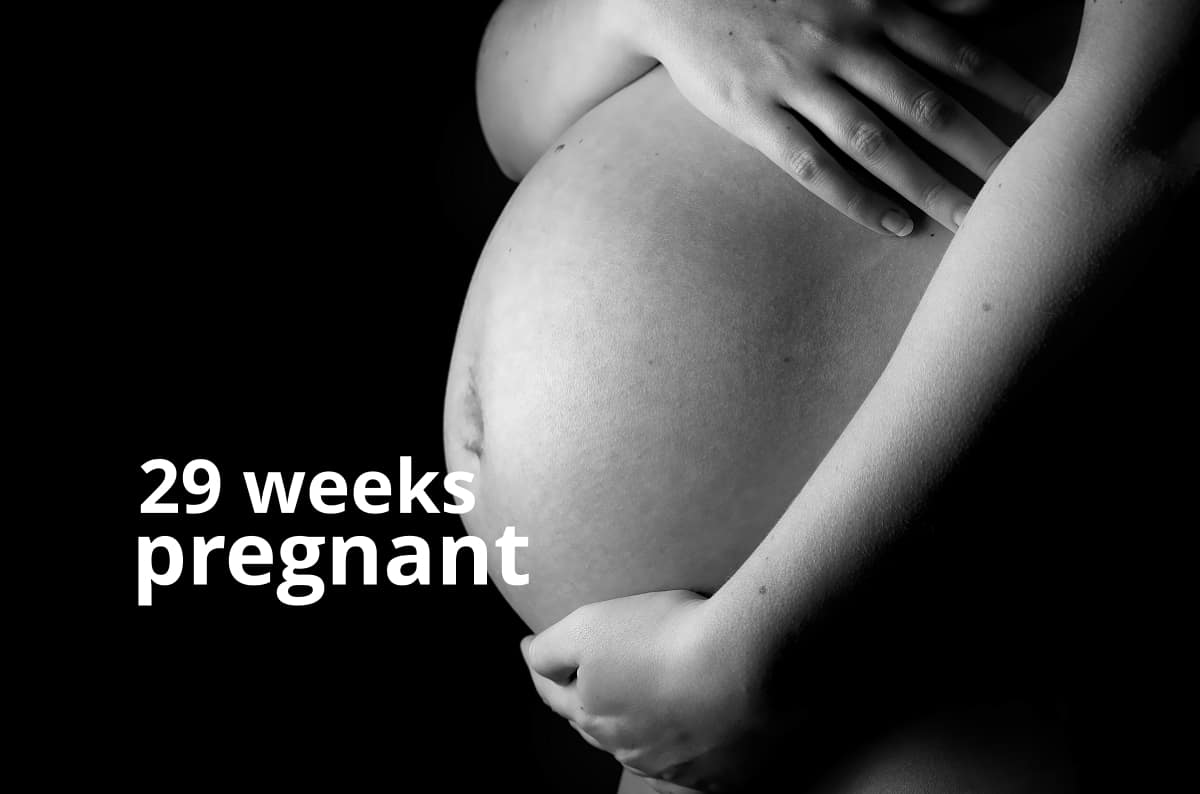 29 weeks pregnant