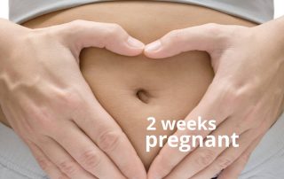 2 weeks pregnant