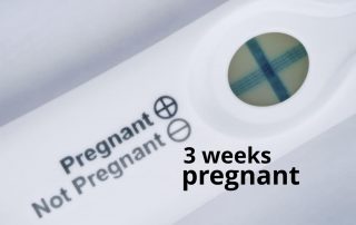 3 weeks pregnant