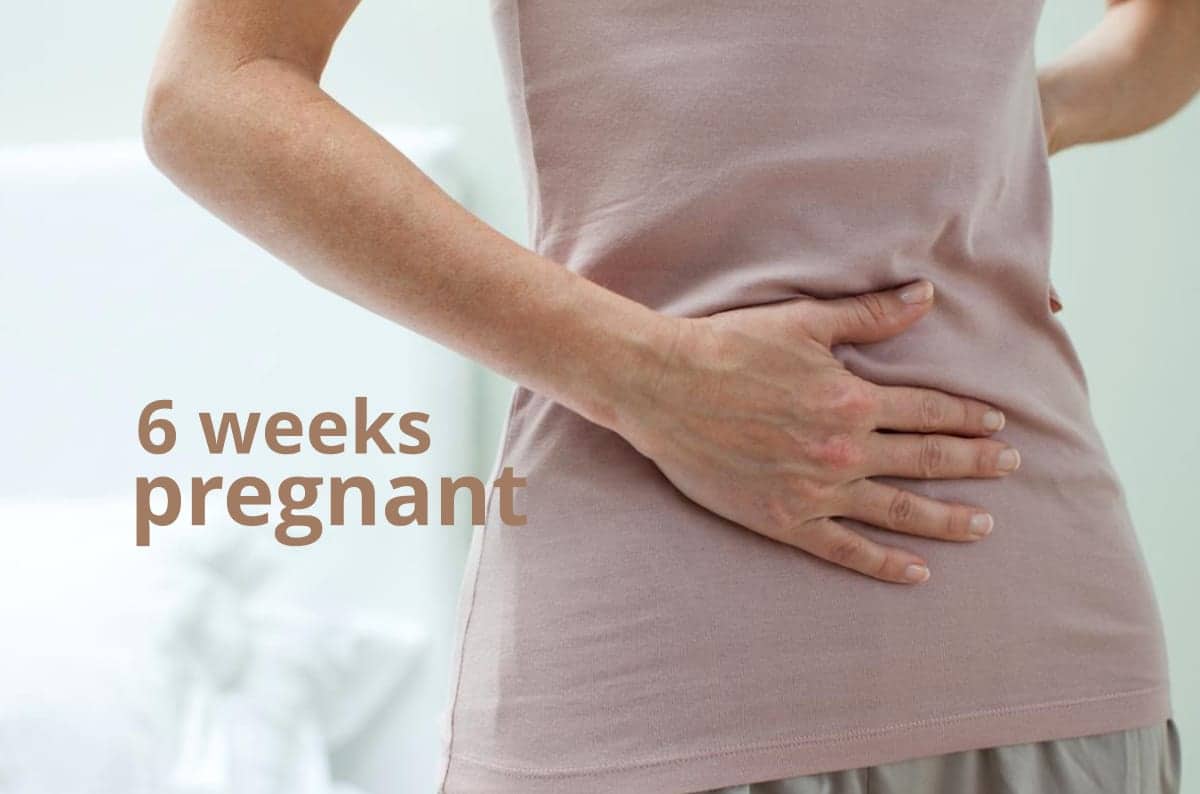 6 Weeks Pregnant Your Baby You At 6 Weeks What To Expect