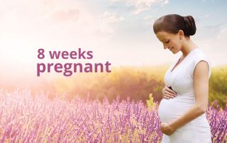 8 weeks pregnant