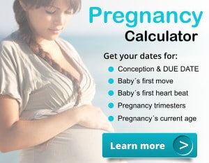Pregnancy calculator